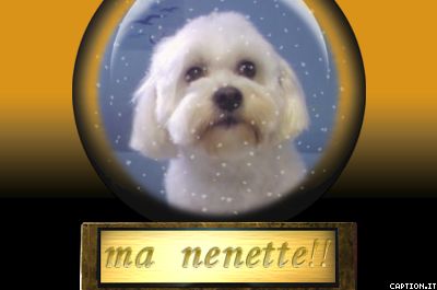 ooo elle est trop belle!!